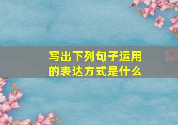 写出下列句子运用的表达方式是什么