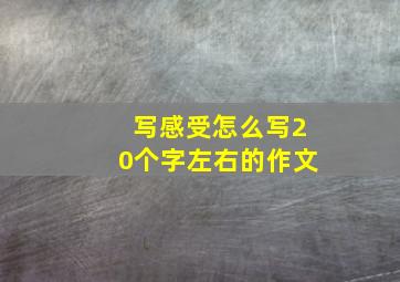 写感受怎么写20个字左右的作文