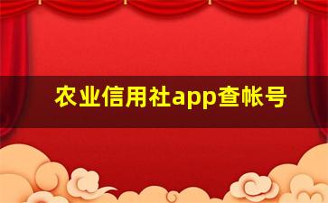 农业信用社app查帐号