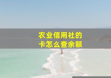 农业信用社的卡怎么查余额