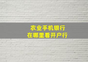 农业手机银行在哪里看开户行