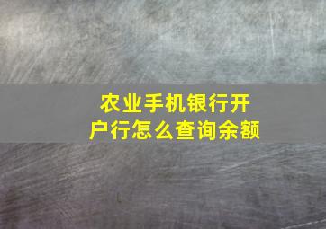 农业手机银行开户行怎么查询余额