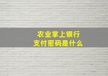 农业掌上银行支付密码是什么