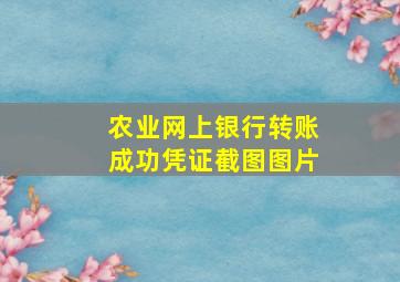 农业网上银行转账成功凭证截图图片