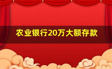 农业银行20万大额存款