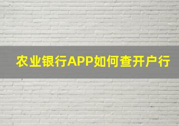 农业银行APP如何查开户行