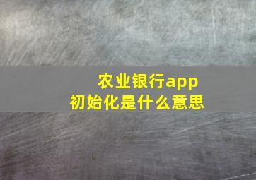 农业银行app初始化是什么意思