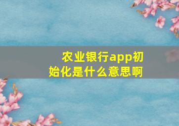 农业银行app初始化是什么意思啊