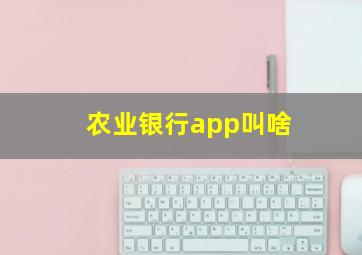 农业银行app叫啥