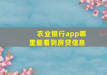 农业银行app哪里能看到房贷信息