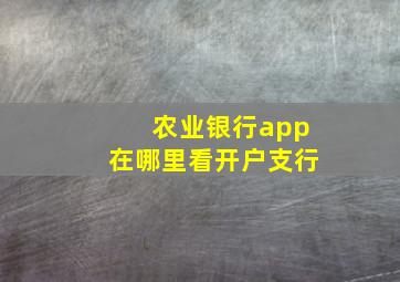 农业银行app在哪里看开户支行