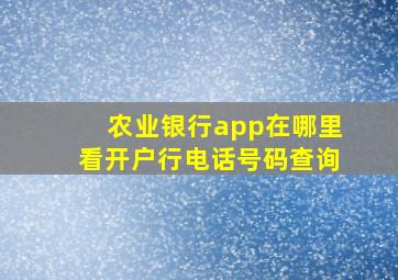 农业银行app在哪里看开户行电话号码查询