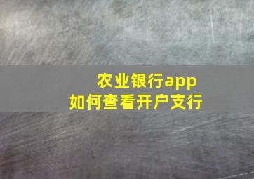 农业银行app如何查看开户支行