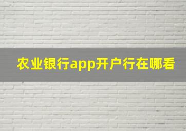 农业银行app开户行在哪看