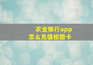 农业银行app怎么充值校园卡