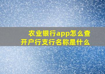 农业银行app怎么查开户行支行名称是什么