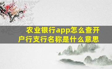 农业银行app怎么查开户行支行名称是什么意思