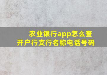 农业银行app怎么查开户行支行名称电话号码