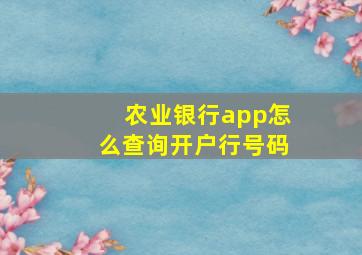 农业银行app怎么查询开户行号码