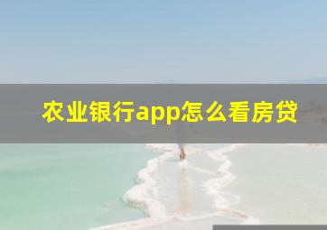 农业银行app怎么看房贷