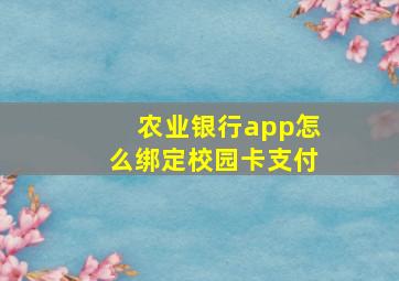 农业银行app怎么绑定校园卡支付