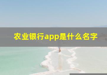 农业银行app是什么名字