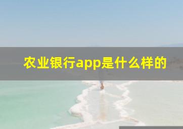 农业银行app是什么样的