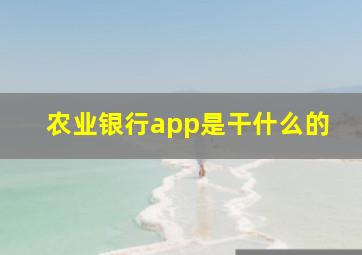 农业银行app是干什么的