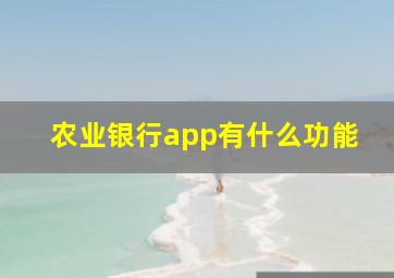 农业银行app有什么功能