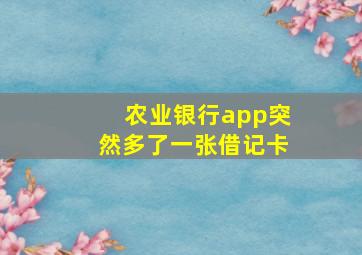 农业银行app突然多了一张借记卡