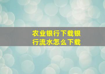 农业银行下载银行流水怎么下载