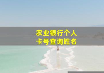 农业银行个人卡号查询姓名