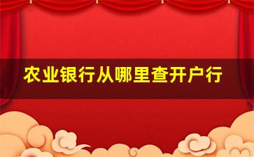 农业银行从哪里查开户行