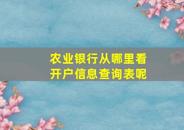 农业银行从哪里看开户信息查询表呢