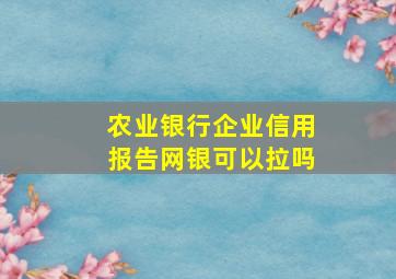 农业银行企业信用报告网银可以拉吗