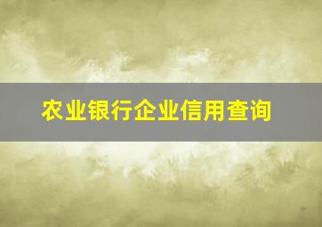 农业银行企业信用查询