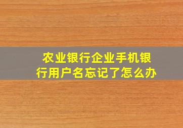 农业银行企业手机银行用户名忘记了怎么办