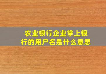 农业银行企业掌上银行的用户名是什么意思