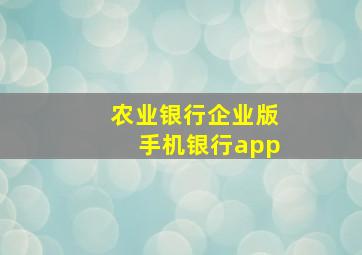 农业银行企业版手机银行app