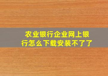 农业银行企业网上银行怎么下载安装不了了