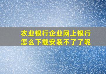 农业银行企业网上银行怎么下载安装不了了呢