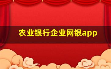 农业银行企业网银app