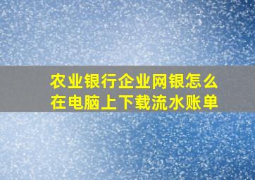 农业银行企业网银怎么在电脑上下载流水账单