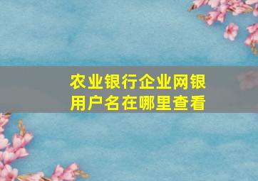 农业银行企业网银用户名在哪里查看