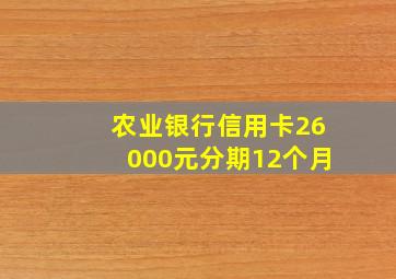 农业银行信用卡26000元分期12个月