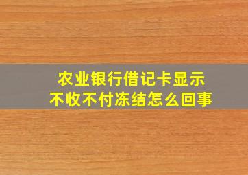 农业银行借记卡显示不收不付冻结怎么回事