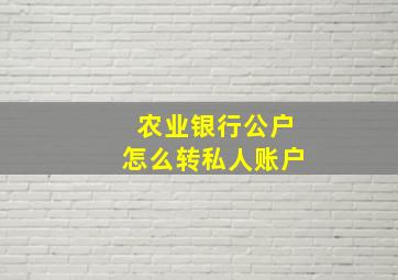 农业银行公户怎么转私人账户