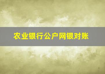 农业银行公户网银对账