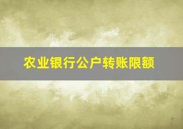 农业银行公户转账限额