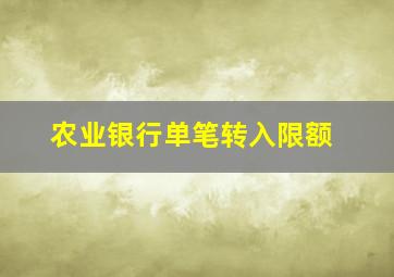 农业银行单笔转入限额